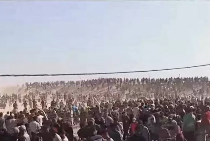 Bak Film Zombie, Massa Kelaparan Serbu Pusat Bantuan Gaza, Personel AS dan Israel Kabur